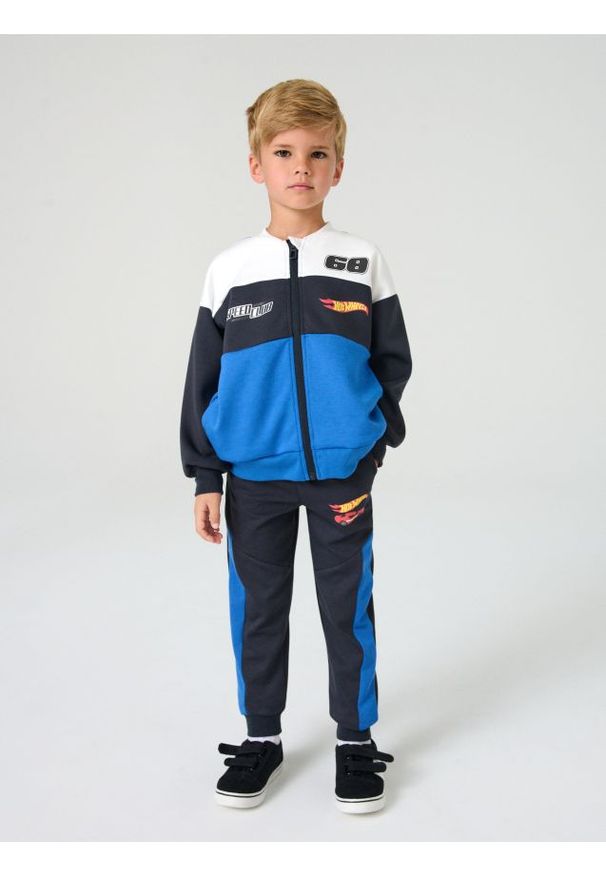Sinsay - Spodnie dresowe Hot Wheels - szary. Kolor: szary. Materiał: dresówka