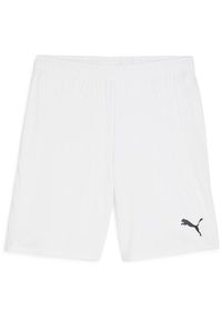 Szorty Puma Team Goal. Kolor: biały. Sport: piłka nożna #1