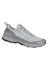 Buty trekkingowe damskie Salewa Pedroc Air. Kolor: szary. Materiał: materiał, syntetyk. Szerokość cholewki: normalna