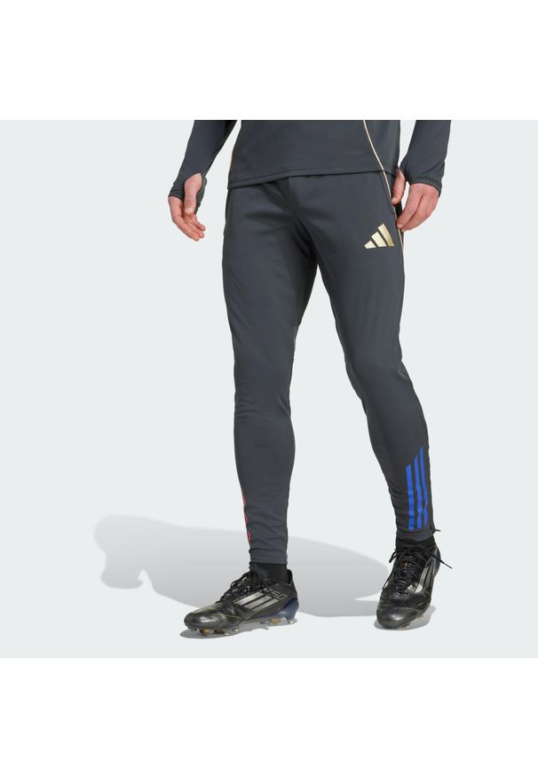 Adidas - Spodnie dresowe OL 2025/26. Kolor: szary, wielokolorowy, beżowy. Materiał: dresówka. Sport: piłka nożna