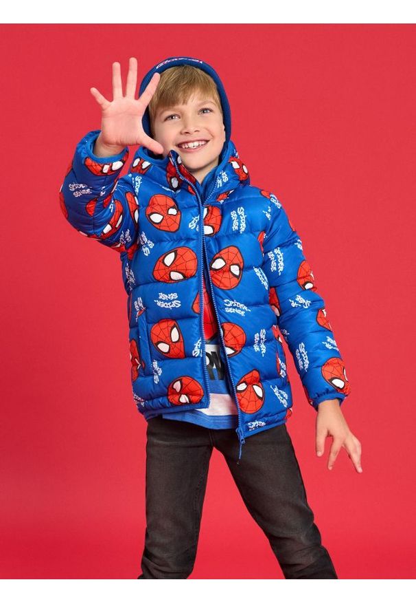 Sinsay - Pikowana kurtka z kapturem Spider-Man - niebieski. Typ kołnierza: kaptur. Kolor: niebieski