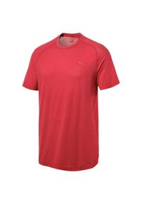 Koszulka Puma Evostripe Evoknit dla mężczyzn - Komfort i wydajność. Kolor: wielokolorowy