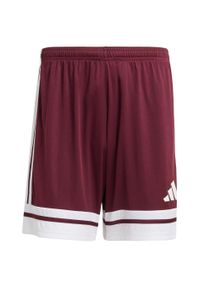 Adidas - Spodenki męskie adidas Squadra 25. Kolor: czerwony, biały, wielokolorowy