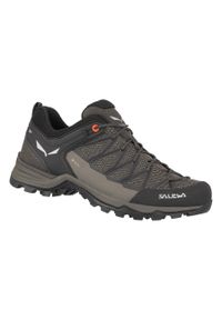 Buty Trekkingowe Męskie Salewa Mtn Trainer Lite Gtx. Kolor: brązowy. Materiał: syntetyk, materiał, tkanina. Sezon: zima #1