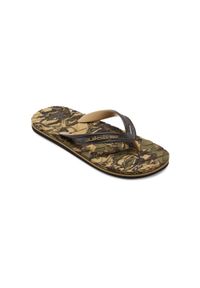 Quiksilver - Sandały dla Mężczyzn OAHUEY Zielony. Okazja: na plażę. Zapięcie: pasek. Kolor: brązowy, zielony, wielokolorowy. Materiał: guma, syntetyk, materiał. Wzór: paski. Styl: sportowy