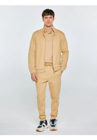 Big-Star - Spodnie męskie dresowe beżowe Wladorp 801. Kolor: beżowy. Materiał: dresówka. Wzór: nadruk, ze splotem #3