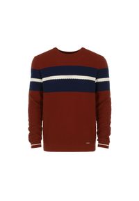Ochnik - Sweter męski. Okazja: na co dzień. Kolor: czerwony. Materiał: bawełna. Długość: długie. Wzór: ze splotem. Styl: casual #4