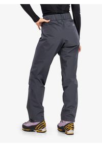 Spodnie damskie Black Diamond Liquid Point Pants. Kolor: szary