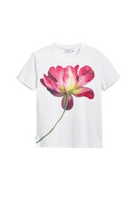 Desigual T-Shirt Plata 25SWTK24 Écru Regular Fit. Materiał: bawełna #6