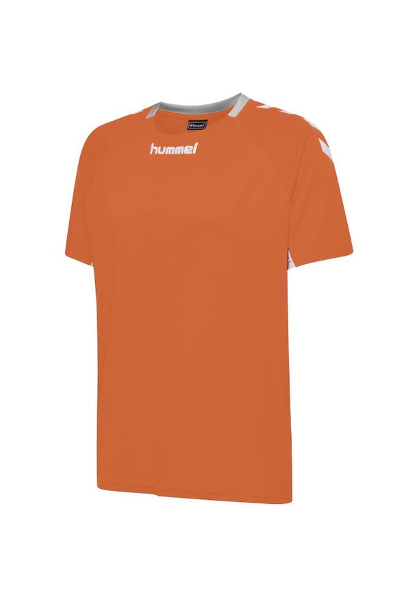 Koszulka sportowa z krótkim rękawem dla dzieci Hummel Core Kids Team Jersey S/S. Kolor: pomarańczowy, wielokolorowy, żółty. Materiał: jersey. Długość rękawa: krótki rękaw. Długość: krótkie. Sport: piłka nożna
