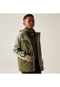 Regatta - Kurtka zimowa chłopięca 3 w 1 Trekktain II. Kolor: zielony. Materiał: tkanina, puch. Sezon: zima. Sport: turystyka piesza #1