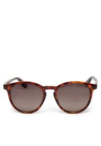 POLAROID - Polaroid Okulary przeciwsłoneczne PLD 6098/S Brązowy. Kolor: brązowy. Materiał: syntetyk #5