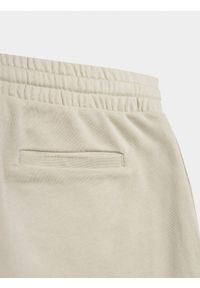 outhorn - Spodnie dresowe męskie Outhorn - beżowe. Kolor: beżowy. Materiał: dresówka