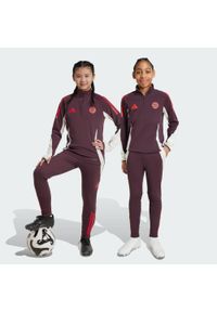 Adidas - Spodnie FC Bayern Tiro 24 Training Kids. Kolor: czerwony, fioletowy, wielokolorowy. Materiał: materiał. Sport: piłka nożna
