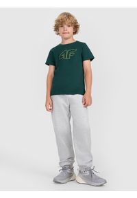 4f - 4F T-shirt regular z nadrukiem chłopięcy - zielony 158 (12-13 lat). Okazja: na co dzień. Kolor: turkusowy. Materiał: jersey, bawełna, materiał. Długość rękawa: krótki rękaw. Długość: krótkie. Wzór: nadruk. Sezon: lato. Styl: sportowy, klasyczny, casual