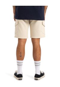 Quiksilver - dla Mężczyzn CARGO Biały. Kolor: biały. Materiał: materiał, poliester, bawełna. Długość: krótkie. Sezon: lato