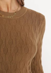 Born2be - Brązowy Klasyczny Sweter z Tłoczonym Zdobieniem Nainea. Okazja: na co dzień. Kolor: brązowy. Wzór: aplikacja. Styl: klasyczny #5