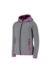 Bluza dziecięca turystyczna CMP 34H6375. Kolor: szary. Sport: turystyka piesza #1