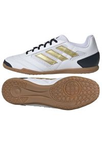 Adidas - Buty adidas Super Sala 2 In IG8756 białe. Kolor: wielokolorowy, złoty, biały. Materiał: materiał. Szerokość cholewki: normalna