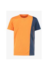 Koszulka chłopięca CMP Nebula. Kolor: pomarańczowy. Sport: turystyka piesza #1