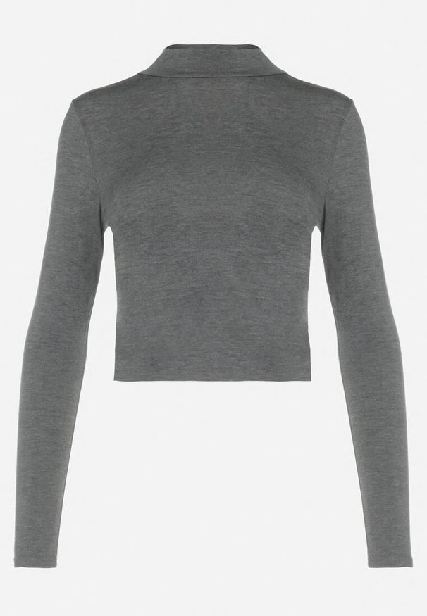 Born2be - Ciemnoszara Bluzka Crop Top z Półgolfem Volei. Typ kołnierza: golf. Kolor: szary. Materiał: dzianina, tkanina. Długość rękawa: długi rękaw. Długość: krótkie. Wzór: gładki, jednolity