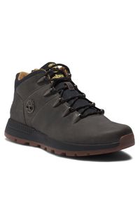 Sneakersy Timberland. Kolor: szary. Sport: bieganie #1