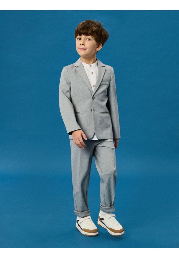 Sinsay - Eleganckie spodnie w kant - szary. Kolor: szary. Styl: elegancki