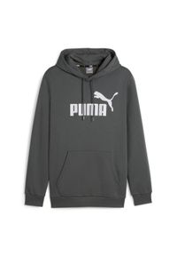 Puma - Bluza męska PUMA Essentials Big Logo Hoodie FL. Kolor: szary #1