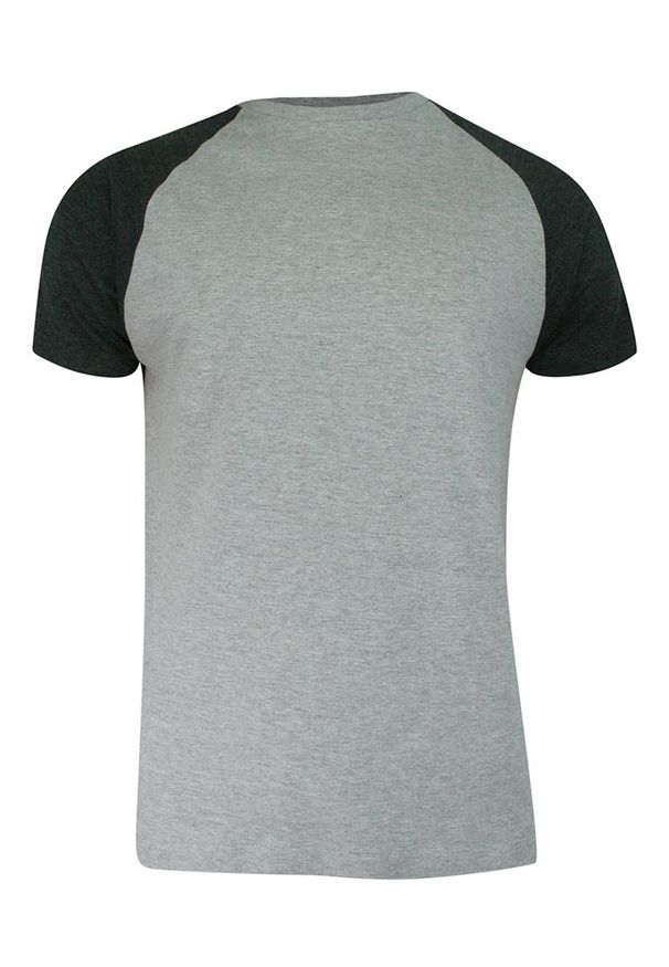 Brave Soul - T-shirt Szaro-Popielaty Bawełniany, Krótki Rękaw Raglanowy, Dwukolorowy, Męski -BRAVE SOUL. Okazja: na co dzień. Kolor: szary. Materiał: bawełna, wiskoza. Długość rękawa: krótki rękaw. Długość: krótkie. Sezon: lato, wiosna. Styl: casual