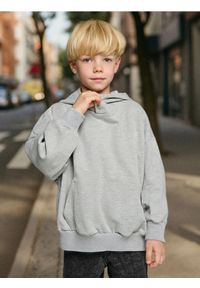 Sinsay - Bluza hoodie - szary. Kolor: szary