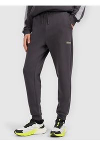 4f - 4F Spodnie dresowe joggery męskie 4F x Robert Lewandowski - szare XL. Kolor: szary. Materiał: dresówka. Wzór: aplikacja. Sport: fitness #2