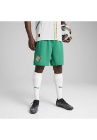 Puma - Męskie szorty Senegal 2025 PUMA Sport Green White. Kolor: zielony, biały, wielokolorowy. Wzór: aplikacja. Sport: piłka nożna