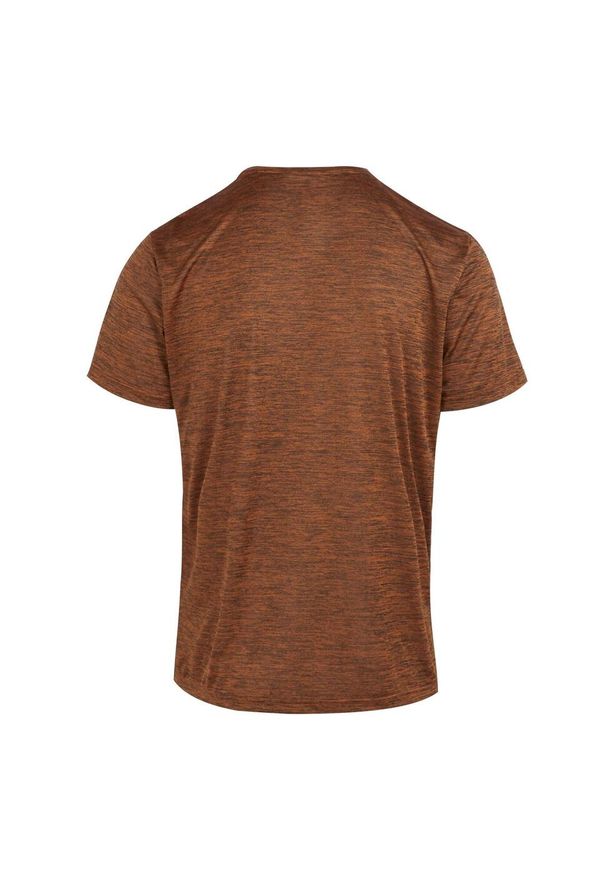 Regatta - T-shirt Męski Melanżowy Fingal Edition. Kolor: żółty, pomarańczowy, wielokolorowy. Wzór: melanż