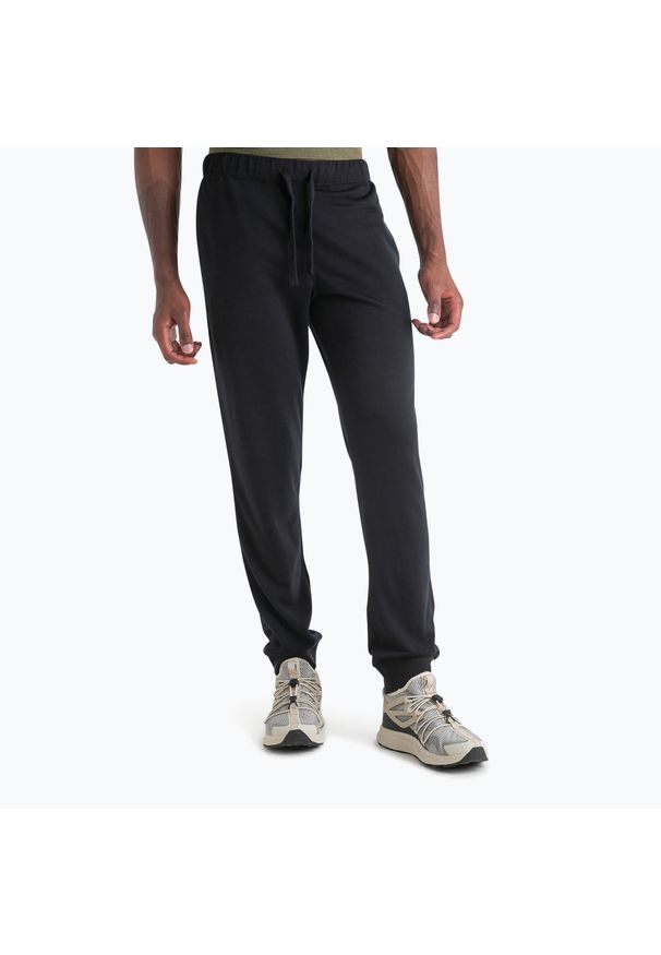 Icebreaker - Spodnie męskie icebreaker Merino er II. Kolor: czarny. Długość: długie