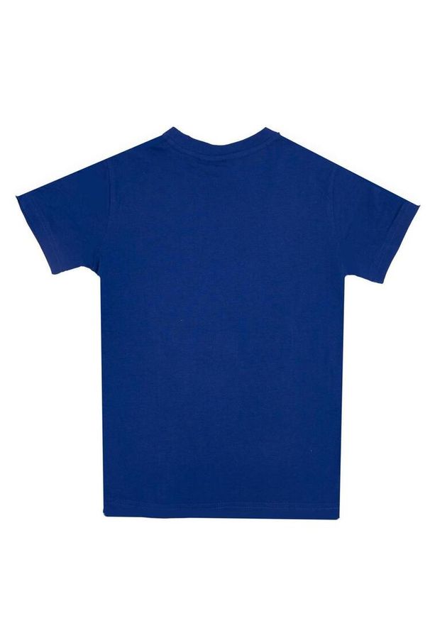 LEONE 1947 APPAREL - Dziecięcy T-shirt z krótkim rękawem i dużym logo. Kolor: niebieski. Długość rękawa: krótki rękaw. Długość: krótkie. Sport: joga i pilates