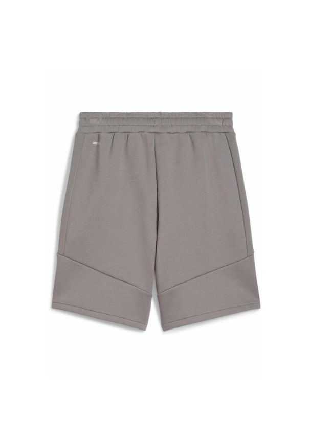 Puma - Męskie szorty EVOSTRIPE 8" PUMA Cast Iron Gray. Kolor: szary