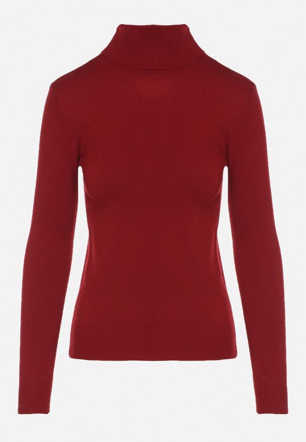 Born2be - Bordowy Klasyczny Golf z Bawełną Reilisea. Okazja: na co dzień. Typ kołnierza: golf. Kolor: czerwony. Materiał: bawełna. Styl: klasyczny