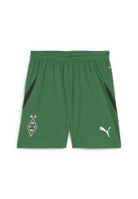 Puma - Młodzieżowe szorty Borussia Mönchengladbach 24/25 PUMA Archive Green Black. Kolor: wielokolorowy, czarny, zielony. Sport: piłka nożna