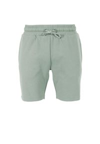 REECE - Szorty Reece Australia Studio. Kolor: zielony. Materiał: materiał. Sport: koszykówka, fitness #1