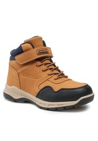 Trapery Sprandi. Kolor: brązowy #1