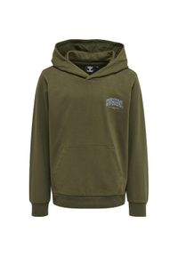 Bluza z kapturem dla dzieci Hummel Fast. Typ kołnierza: kaptur. Kolor: brązowy