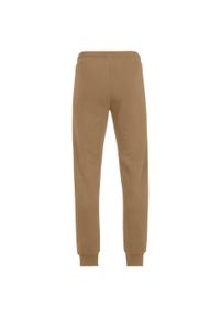 Jogging Fila Braives. Kolor: brązowy. Sport: bieganie #2