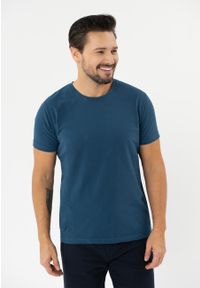 Volcano - Gładka koszulka TM-MODE. Materiał: materiał, bawełna. Długość rękawa: krótki rękaw. Długość: krótkie. Wzór: gładki. Styl: klasyczny #1