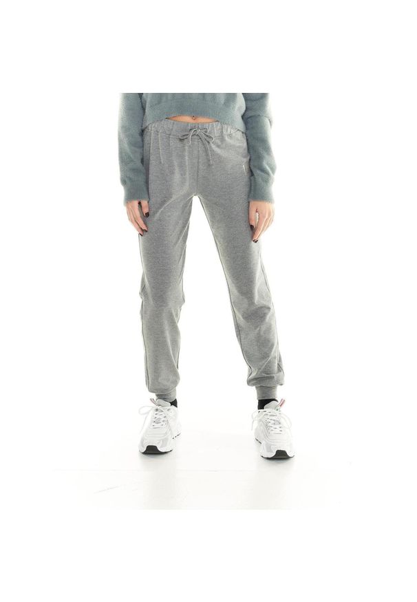 LEONE 1947 APPAREL - Damskie joggery rekreacyjne Leone. Kolor: szary. Materiał: tkanina. Sport: fitness