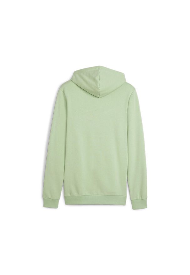 Bluza Sportowa Męska Puma Ess+ 2 Col Small Logo Tr. Kolor: zielony