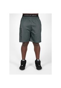 GORILLA WEAR - Spodenki fitness męskie Gorilla Wear Mercury Mesh Shorts. Kolor: szary, wielokolorowy, czarny. Materiał: mesh. Długość: krótkie. Sport: fitness #1