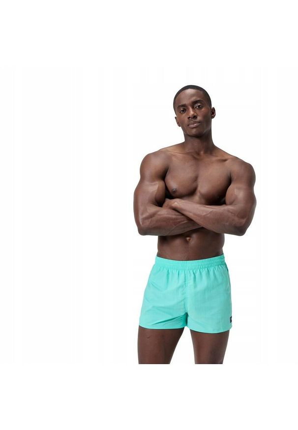 Speedo - Męskie Spodenki Kąpielowe Volley Retro. Kolor: niebieski. Styl: retro