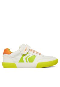 Sneakersy Geox. Kolor: biały