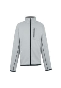 Polar zapinany na zamek błyskawiczny Regatta Orsan. Kolor: szary. Materiał: polar. Sport: turystyka piesza #1