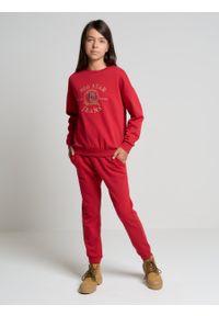 Big-Star - Spodnie dresowe dziewczęce czerwone Arroya 603. Kolor: czerwony. Materiał: dresówka #8